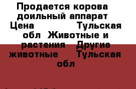 Продается корова   доильный аппарат › Цена ­ 70 000 - Тульская обл. Животные и растения » Другие животные   . Тульская обл.